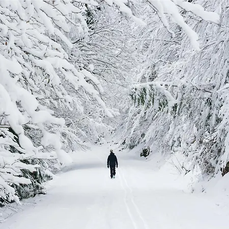 Appartamento Senda By Bevalle Panticosa