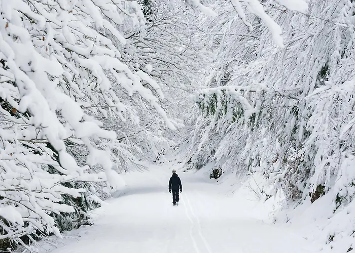 Appartamento Senda By Bevalle Panticosa